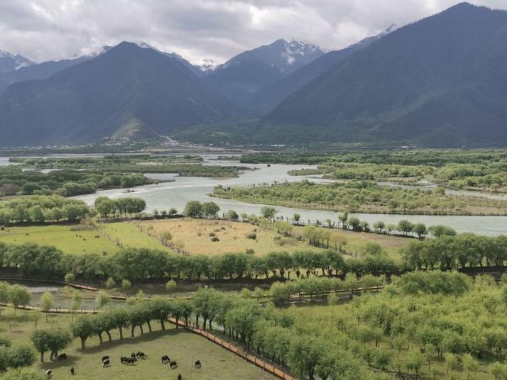 林芝尼洋河