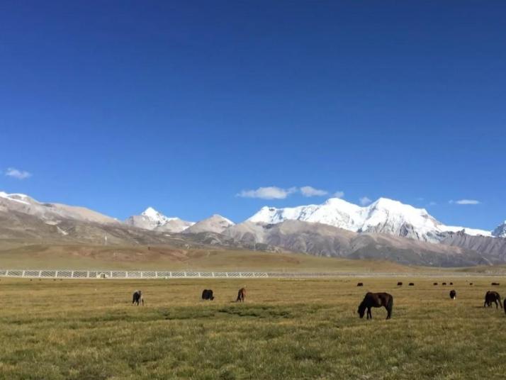 当雄念青唐古拉山图片