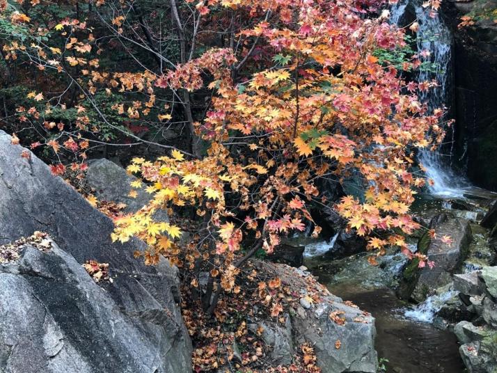 济南九如山瀑布群风景区好玩吗