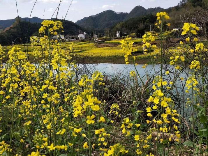 歙县石潭村好玩吗