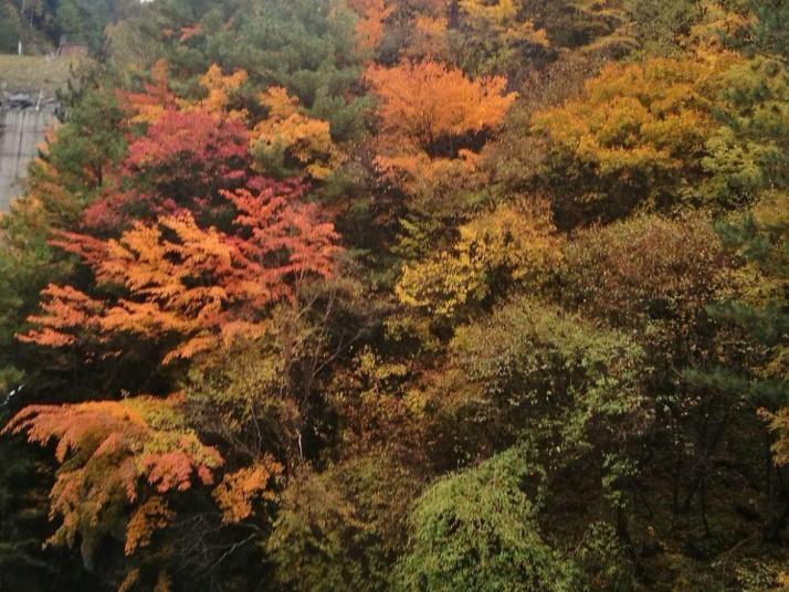 理县米亚罗风景区图片