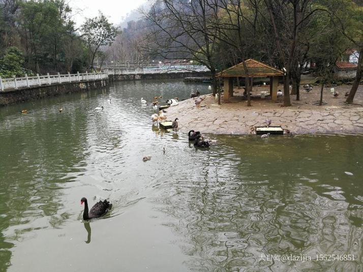 貴陽黔靈山公園