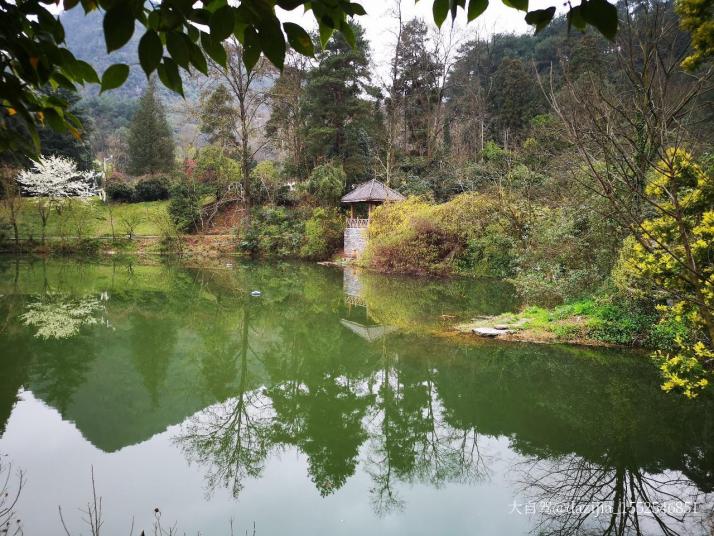 貴陽黔靈山公園圖片