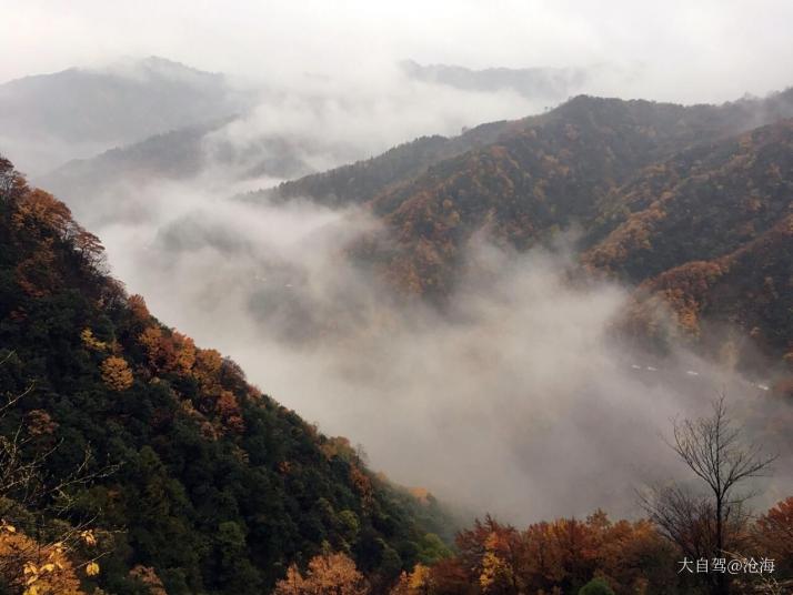 巴中光雾山桃园好玩吗