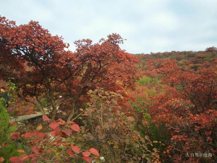 北京坡峰岭好玩吗