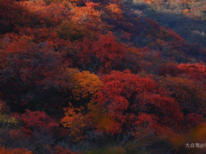 北京坡峰嶺好玩嗎