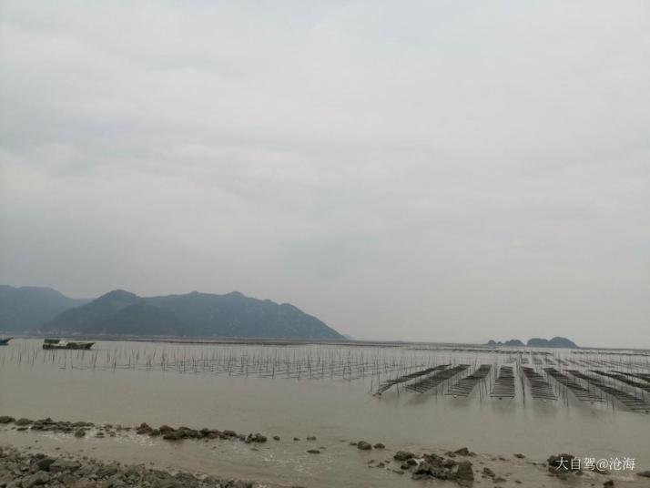 霞浦北岐滩涂图片