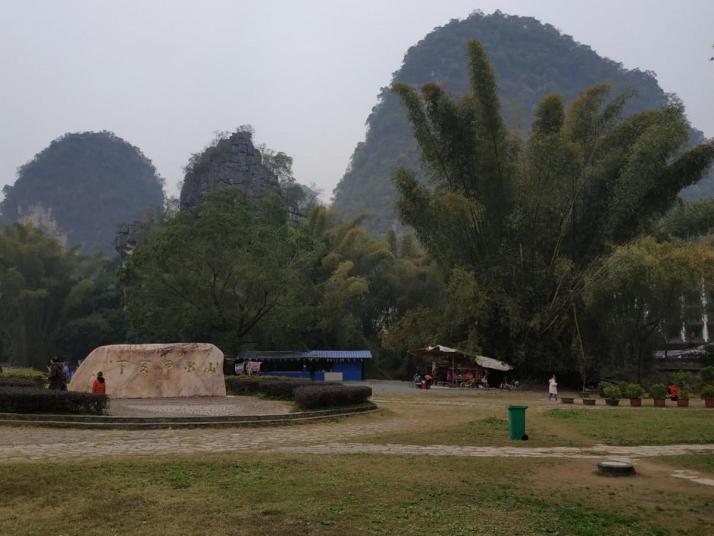 阳朔大榕树景区