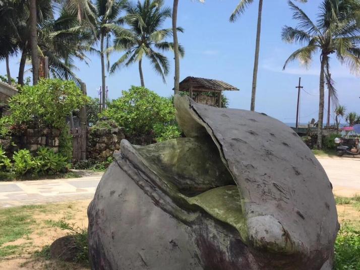 瓊海海的故事圖片