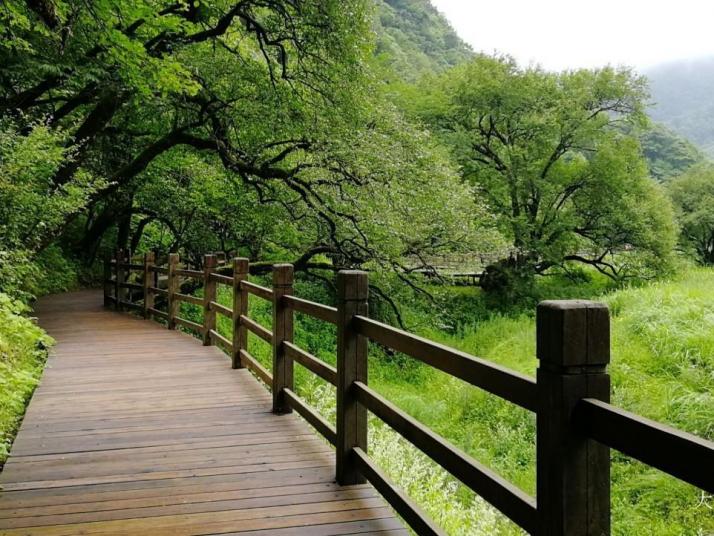 神農架大九湖國家濕地公園