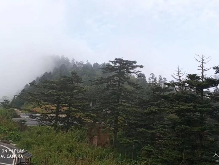 神农架神农顶风景区好玩吗