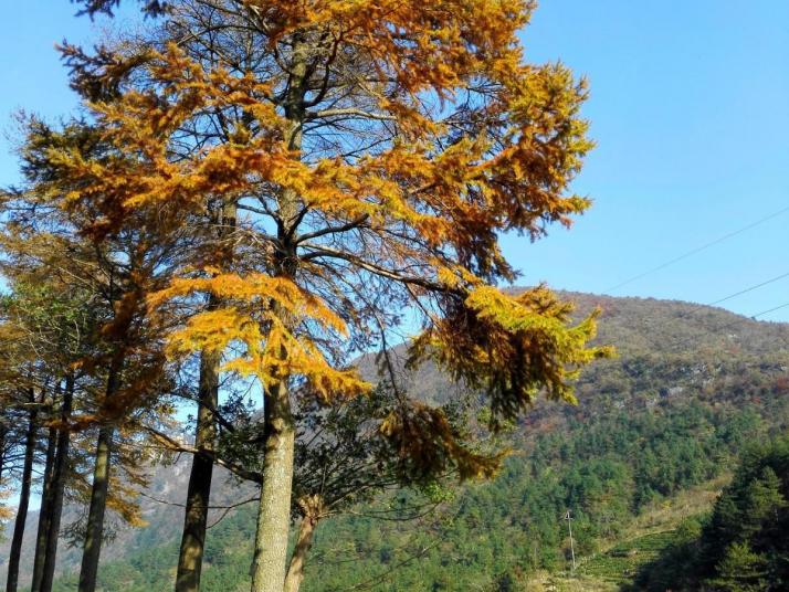 岳西石關(guān)八里風光圖片