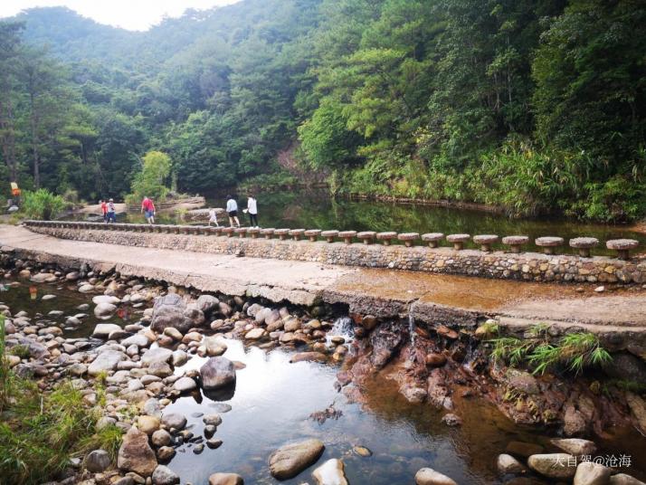 上思十萬大山國家森林公園