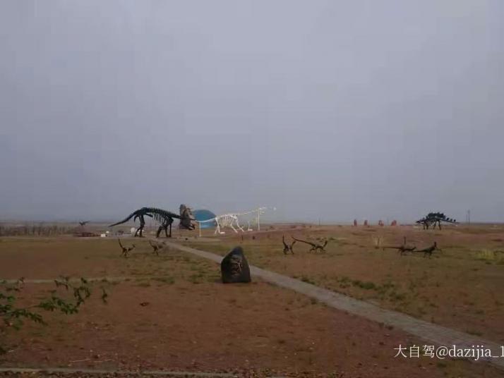 二連浩特二連盆地白堊紀恐龍國家地質(zhì)公園圖片