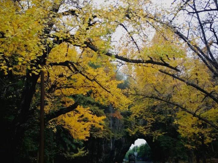 宁国山门洞风景区