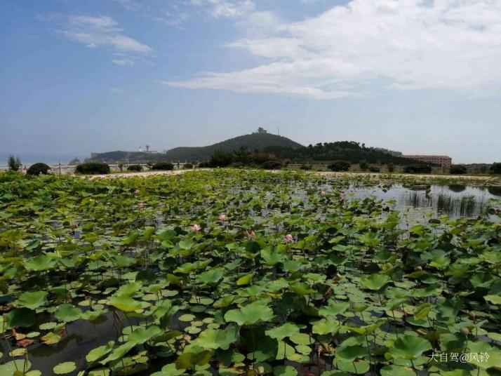 荣成海驴岛图片