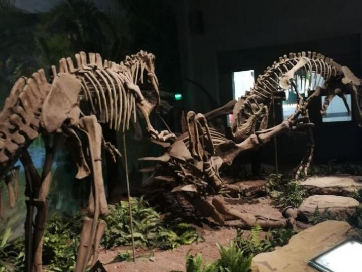 2021自贡自贡恐龙博物馆自驾游/自贡恐龙博物馆地址在