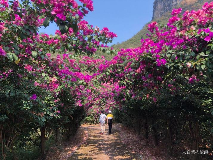 桂林桂林花海景區(qū)好玩嗎