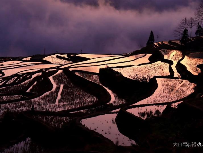 元陽(yáng)元陽(yáng)多依樹景區(qū)