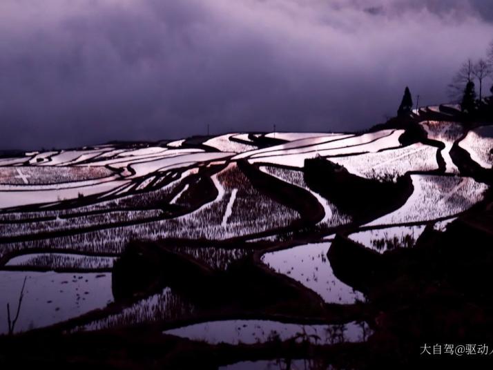 元陽(yáng)元陽(yáng)多依樹景區(qū)好玩嗎