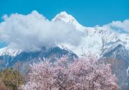 林芝桃花節(jié)自駕游