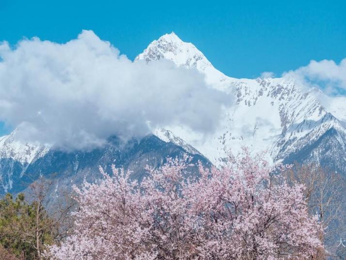 林芝林芝桃花節(jié)好玩嗎