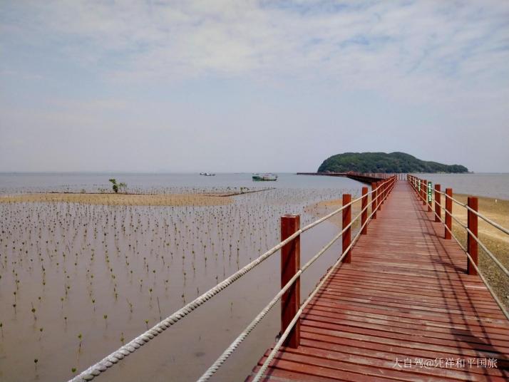 陽江海陵島紅樹林國(guó)家濕地公園