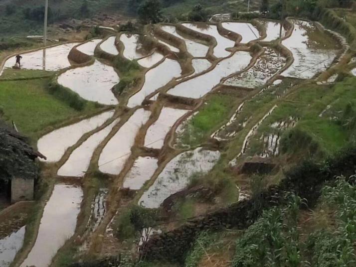 龙胜龙脊古壮寨图片