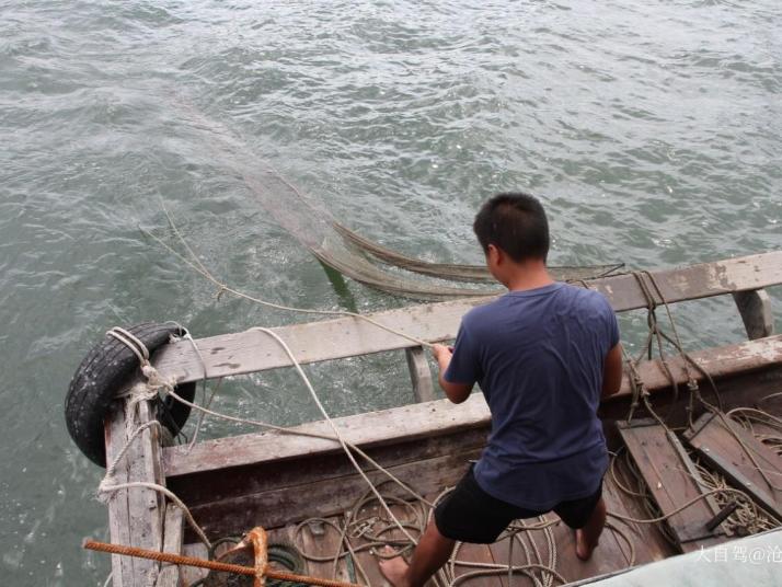 惠东巽寮湾出海捕鱼体验图片