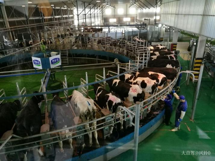 石家庄君乐宝优致牧场好玩吗