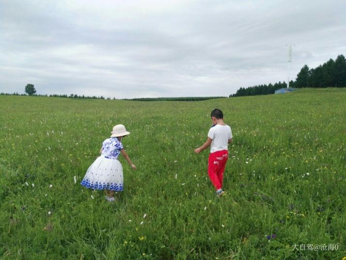 圍場(chǎng)百花坡圖片