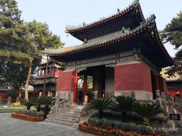 承德普宁寺好玩吗