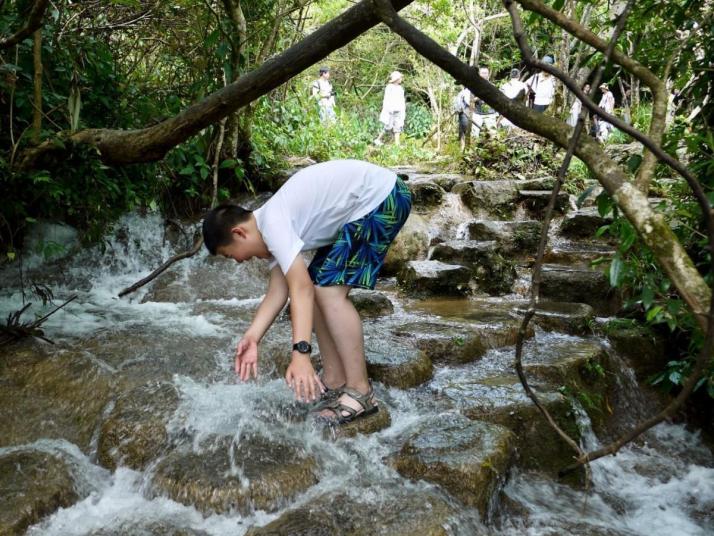 荔波小七孔水上森林圖片