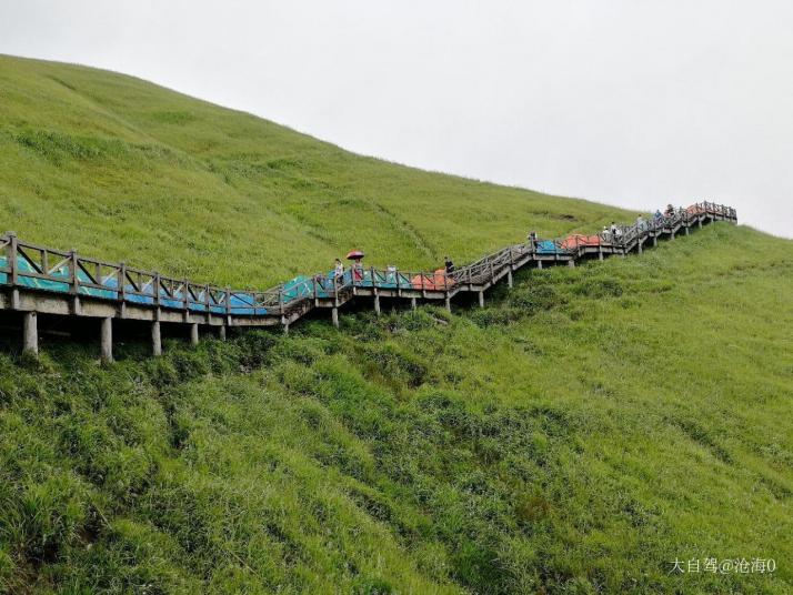宜春明月山高山草甸图片