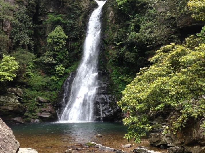 井岡山龍?zhí)毒皡^(qū)圖片