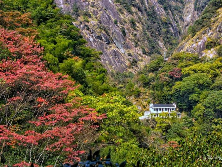 婺源大鄣山卧龙谷