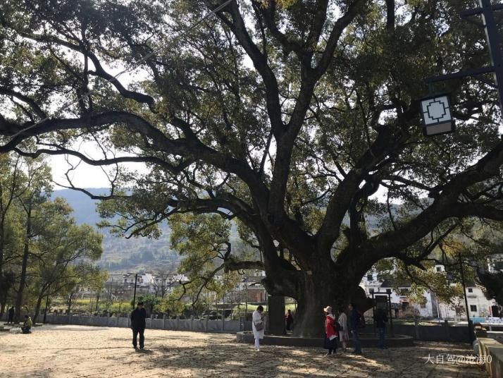 婺源虹關(guān)村