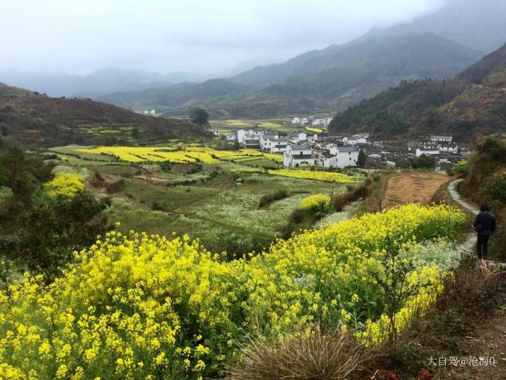 婺源嶺腳村圖片