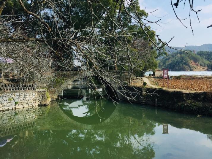 婺源嚴(yán)田古樟民俗園