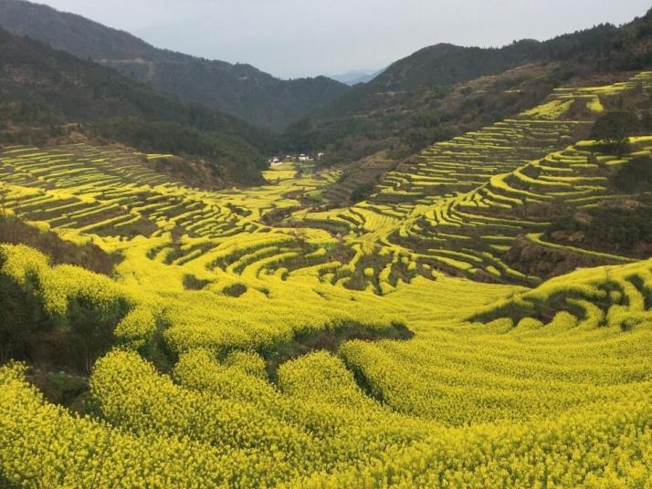 婺源篁村好玩嗎