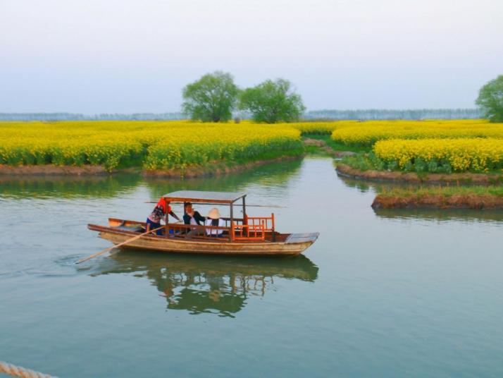 兴化兴化千垛油菜花景区好玩吗