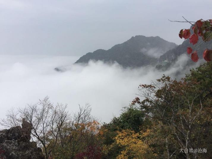 嵐皋南宮山國(guó)家森林公園圖片