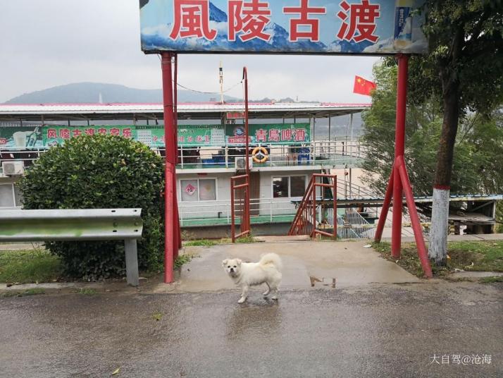 芮城风陵渡黄河大桥好玩吗