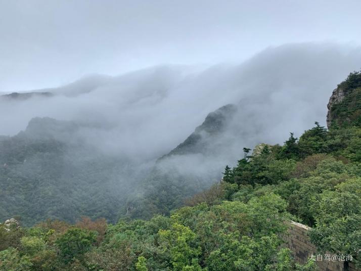 柞水牛背梁國家森林公園圖片