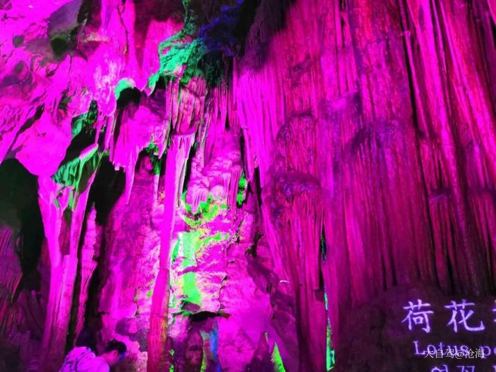 柞水自驾游路线 柞水自驾游景点 柞水溶洞景区 上传图片 1250 浏览