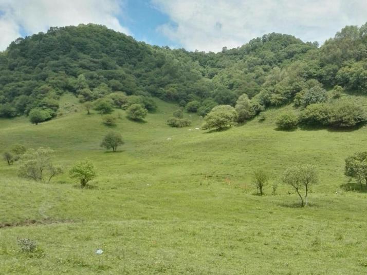 隴縣關(guān)山草原牧場好玩嗎