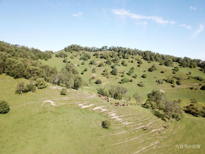 隴縣關(guān)山草原牧場圖片