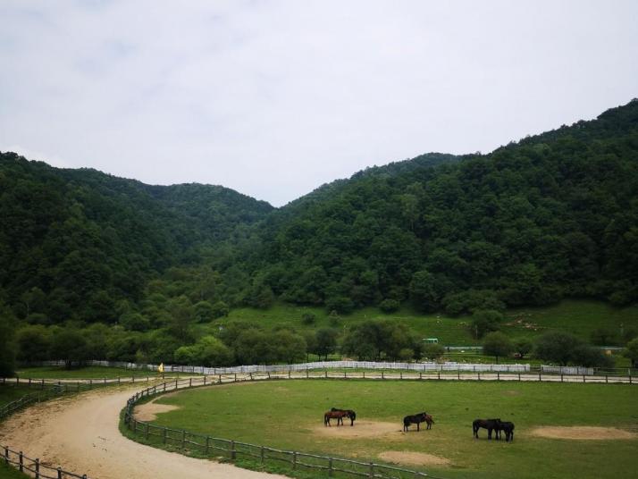 寶雞大水川景區(qū)