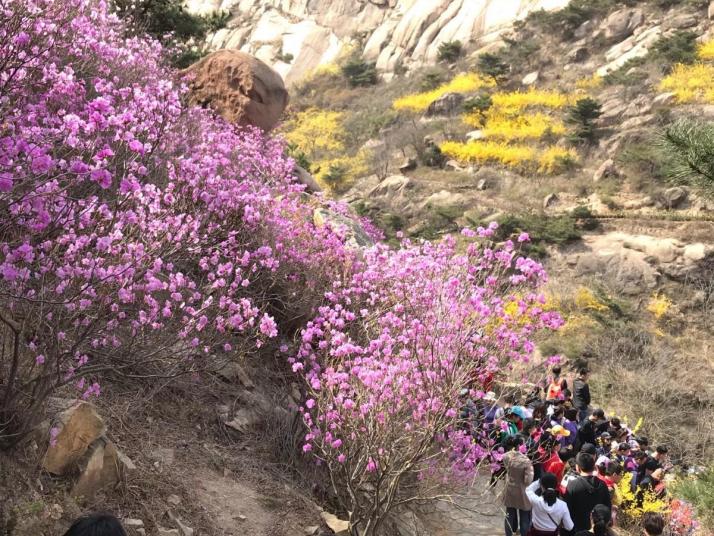 青島大珠山風(fēng)景區(qū)好玩嗎