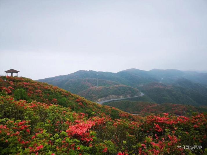 瀏陽(yáng)大圍山國(guó)家森林公園好玩嗎